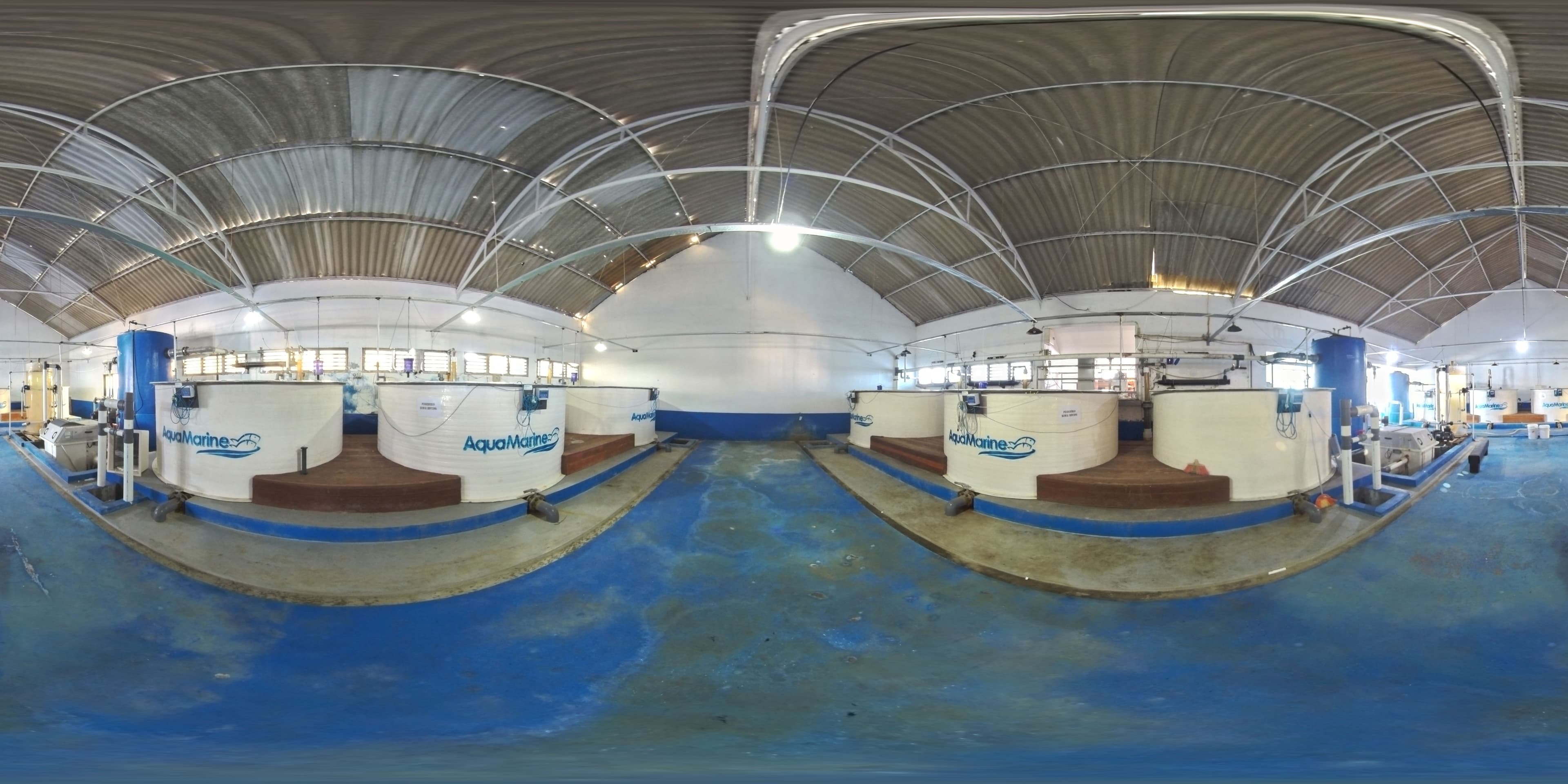 Kolam Pendederan Poin B